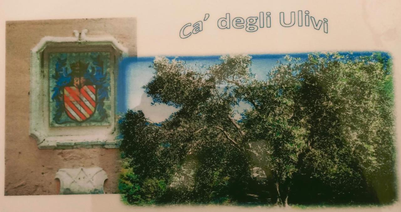 Ca Degli Ulivi Hotel Finale Ligure Eksteriør billede