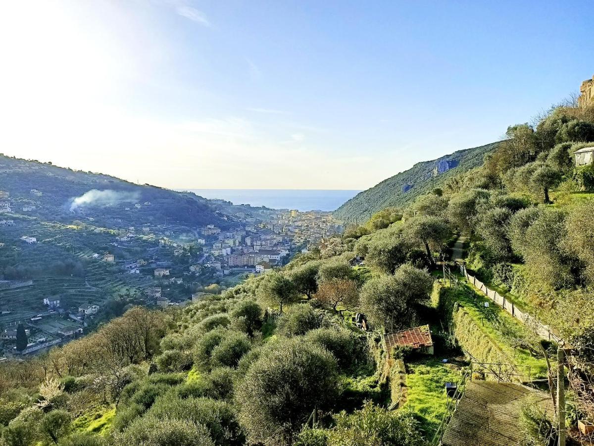 Ca Degli Ulivi Hotel Finale Ligure Eksteriør billede