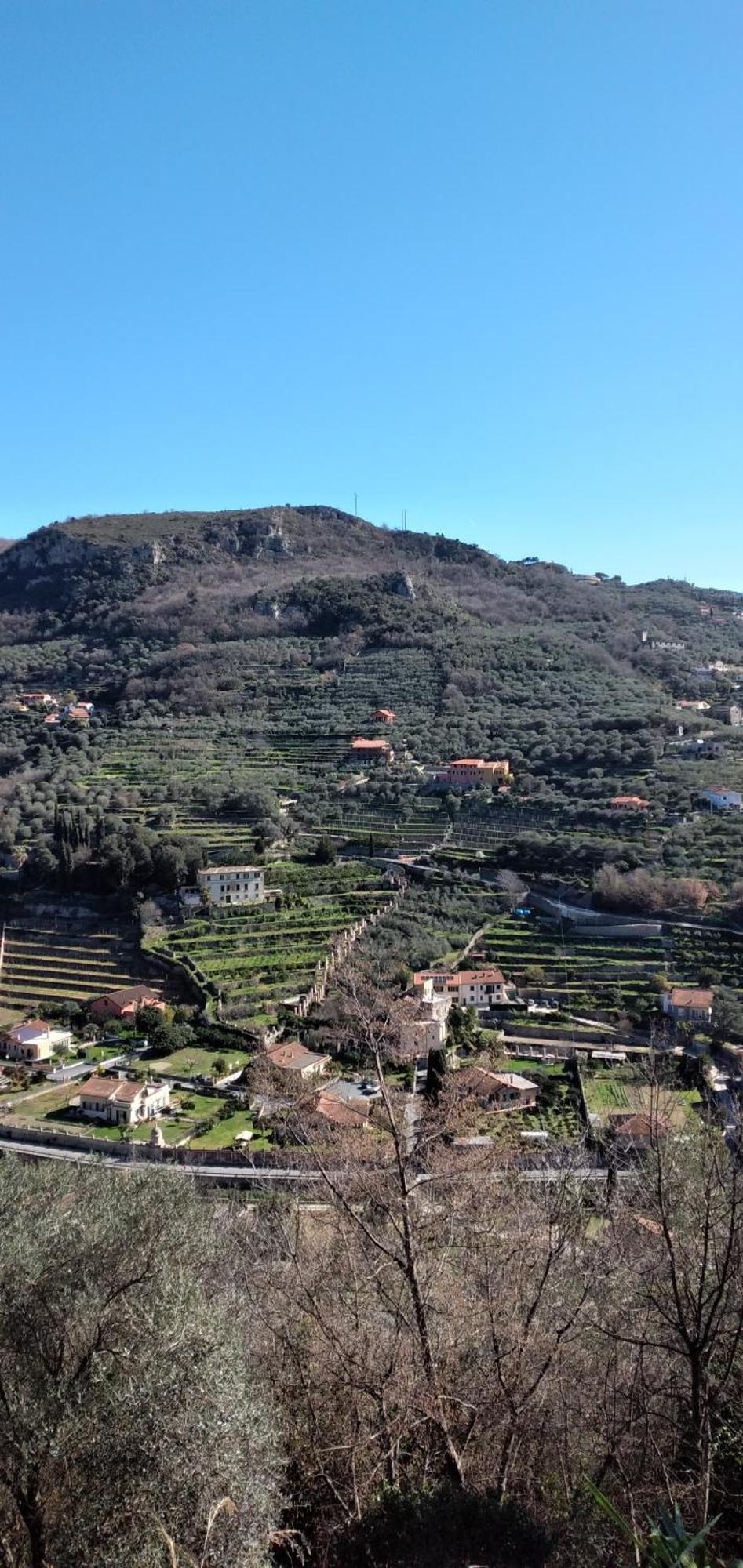Ca Degli Ulivi Hotel Finale Ligure Værelse billede