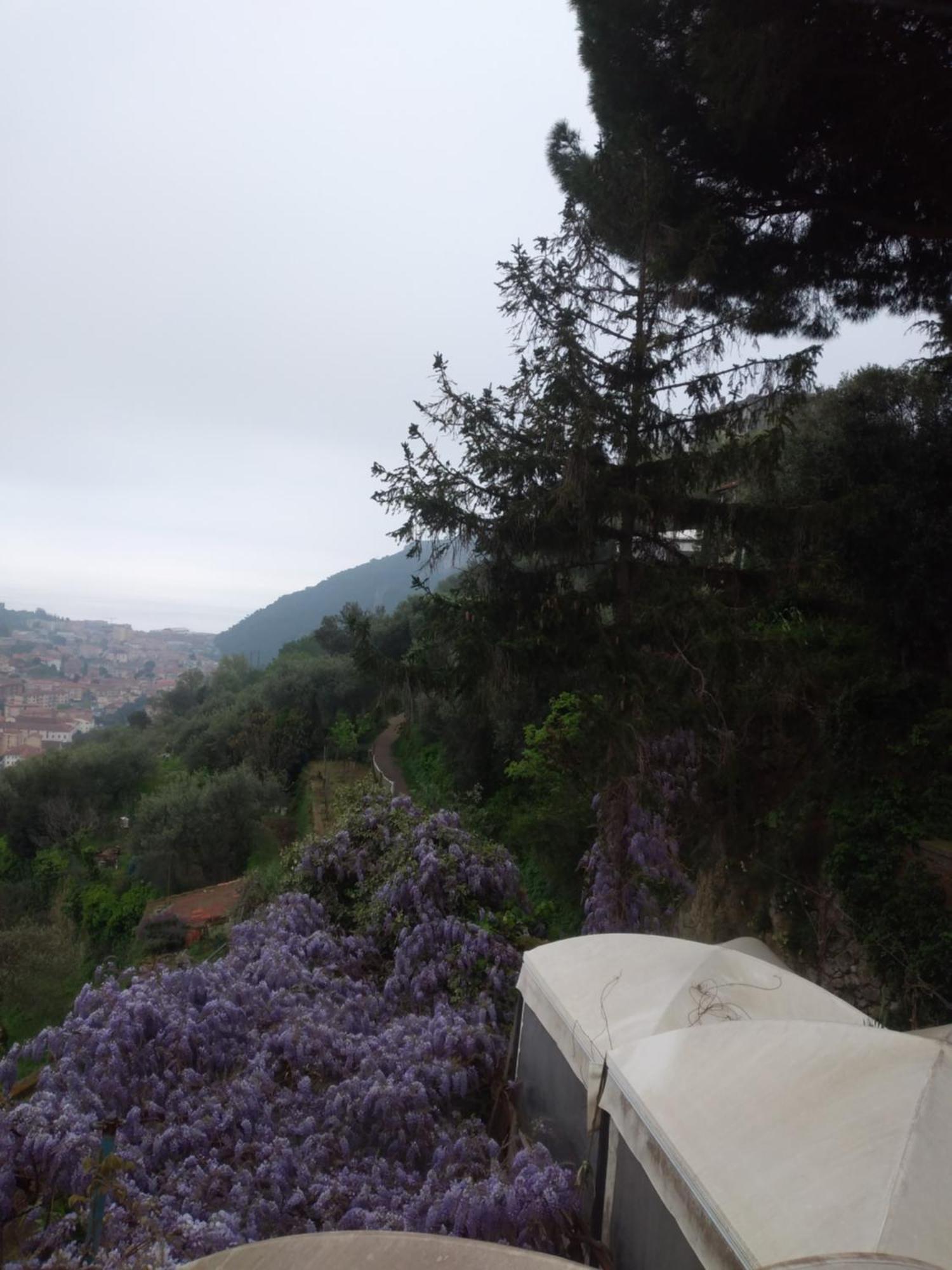 Ca Degli Ulivi Hotel Finale Ligure Eksteriør billede